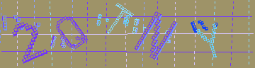 CAPTCHA 認証コード
